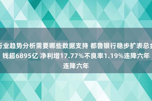 行业趋势分析需要哪些数据支持 都鲁银行稳步扩表总金钱超6895亿 净利增17.77%不良率1.19%连降六年