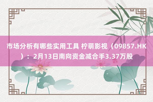 市场分析有哪些实用工具 柠萌影视（09857.HK）：2月13日南向资金减合手3.37万股