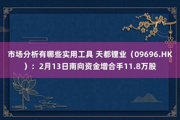 市场分析有哪些实用工具 天都锂业（09696.HK）：2月13日南向资金增合手11.8万股