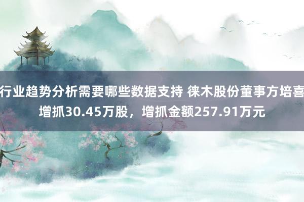 行业趋势分析需要哪些数据支持 徕木股份董事方培喜增抓30.45万股，增抓金额257.91万元