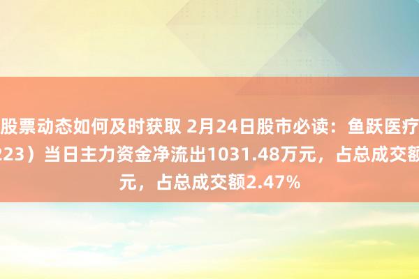 股票动态如何及时获取 2月24日股市必读：鱼跃医疗（002223）当日主力资金净流出1031.48万元，占总成交额2.47%