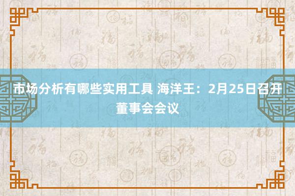 市场分析有哪些实用工具 海洋王：2月25日召开董事会会议