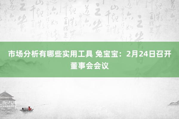 市场分析有哪些实用工具 兔宝宝：2月24日召开董事会会议