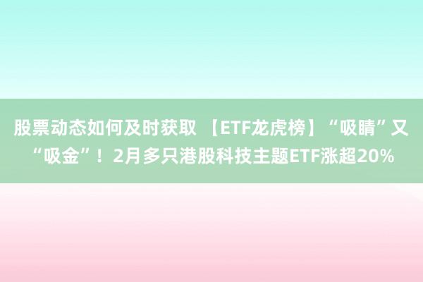 股票动态如何及时获取 【ETF龙虎榜】“吸睛”又“吸金”！2月多只港股科技主题ETF涨超20%