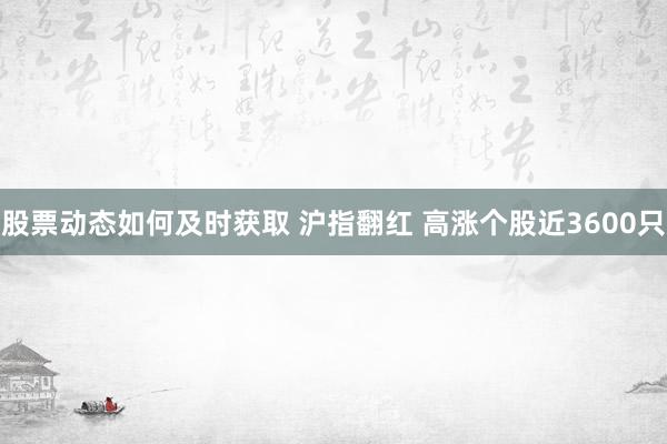 股票动态如何及时获取 沪指翻红 高涨个股近3600只