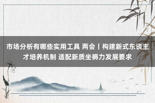 市场分析有哪些实用工具 两会丨构建新式东谈主才培养机制 适配新质坐褥力发展要求