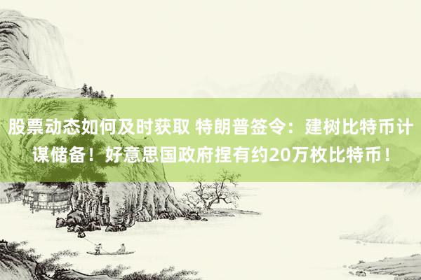 股票动态如何及时获取 特朗普签令：建树比特币计谋储备！好意思国政府捏有约20万枚比特币！