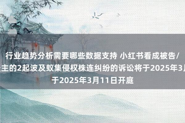 行业趋势分析需要哪些数据支持 小红书看成被告/被上诉东谈主的2起波及蚁集侵权株连纠纷的诉讼将于2025年3月11日开庭