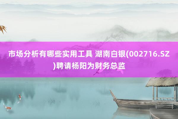 市场分析有哪些实用工具 湖南白银(002716.SZ)聘请杨阳为财务总监