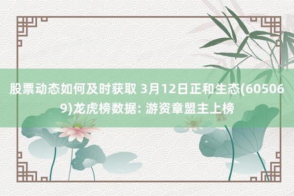 股票动态如何及时获取 3月12日正和生态(605069)龙虎榜数据: 游资章盟主上榜