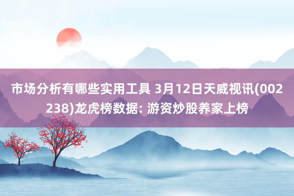 市场分析有哪些实用工具 3月12日天威视讯(002238)龙虎榜数据: 游资炒股养家上榜